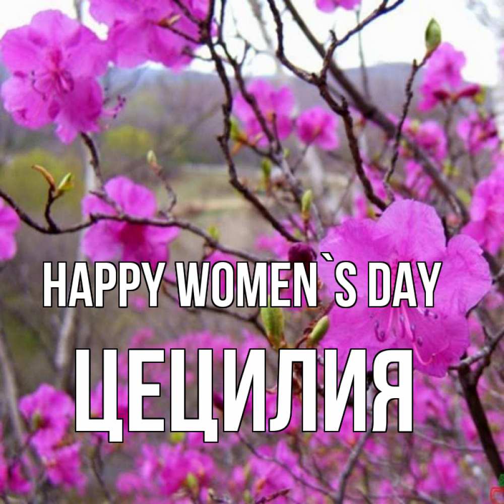Greetings card с именем, Цецилия happy women`s day международный женский день Greetings with text for free download 